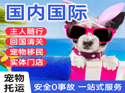 三亚凤凰机场物流国际宠物托运 【国